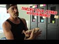 How to tame your lizard with Kevin McCurley of N.E.R.D.! | Monitor Lizard taming tips
