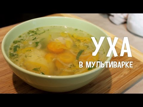 Уха в мультиварке из судака