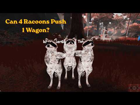 Can 4 Raccoons Push 1 Wagon? - Rakoon [Roblox]
