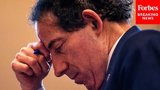 "Structural inequality": Jamie Raskin says jobs dominated by women are paid less