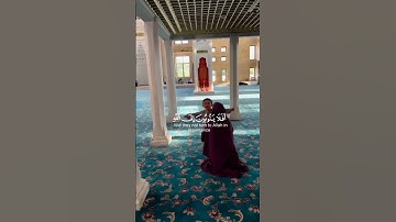 القرآن الكريم حياة القلوب