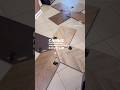 Самые ходовые оттенки елки французской