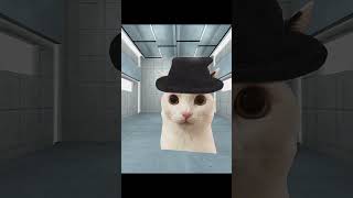 Virtual Insanity Cat 