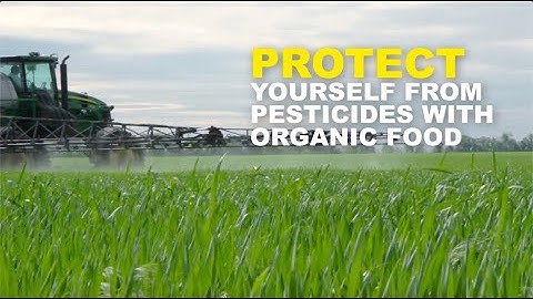 Protect yourself from pesticides with organic food