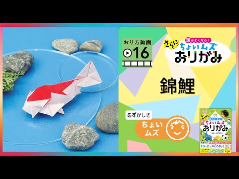 16.錦鯉 - YouTube