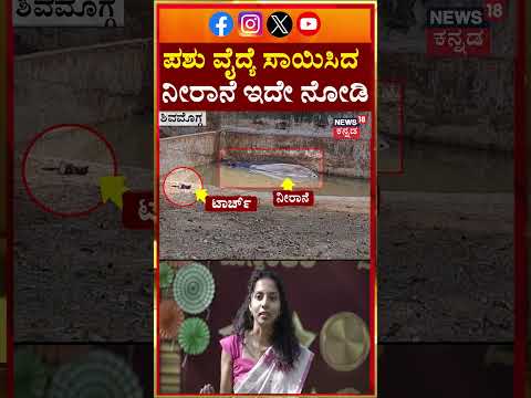 Dr. Sameeksha Case | Horrific Hippo Attack in Shivamogga | ಪಶು ವೈದ್ಯೆ ಸಾಯಿಸಿದ ನೀರಾನೆ ಇದೇ ನೋಡಿ | N18S