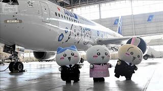 ANAコラボ「ちいかわジェット」運航開始　機体に「ハチワレ」「うさぎ」など8種【知っておきたい！】【グッド！モーニング】(2026年10月19日)