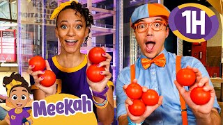 Blippi and Meekah's Counting Games at the Science Centre | Educational Videos for Kids | Meekah