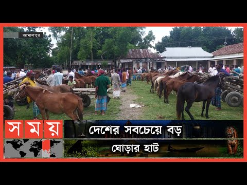 ভিডিও: আপেলবাই ঘোড়ার মেলা কোথায়?