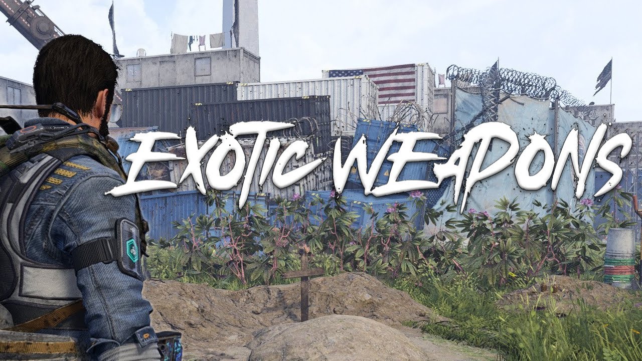 The Division 2  - New Exotic Weapons