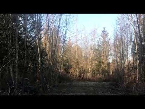 5732 Hoogdal Branch Rd, Sedro Woolley, WA home video tour