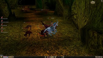 Metin 2 leichter Affendungeon - Der Weg zum Boss