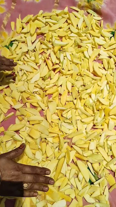 పచ్చి మామిడికాయ ఒరుగులు సంవత్సరం అంతా ఇలా నిల్వ చేసుకోవచ్చు|mamidikaya varugulu@ishani vlogs