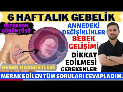 Video: 6 Haftalık Hamilelik: Açıklama, Fetal Boyut, Duyumlar