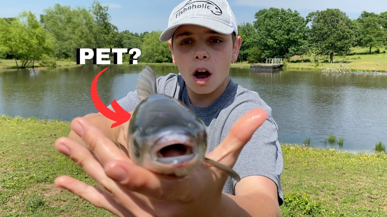 I GOT A GRASS CARP!!! *New Pet* YouTube