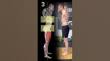 5 Key Points To A PERFECT Squat!