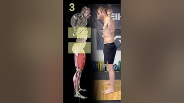 5 Key Points To A PERFECT Squat!