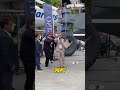 تقليد الشمبانيا يتحول إلى كارثة