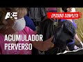 ACUMULADORES COMPULSIVOS #96 - BEN Y ROBIN / KEVIN