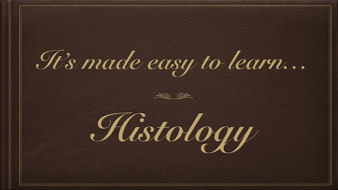 My android app : " HistoGrams "