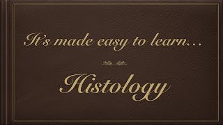 My android app : " HistoGrams " screenshot 4