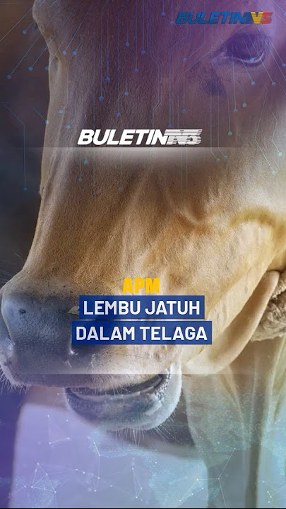 APM | Lembu Terperangkap Dalam Telaga Berair Diselamatkan APM