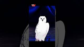 Moment Before Cooked