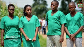 Burundi/Médias: Iwacu compte interjeter appel pour ses 4 journalistes condamnés