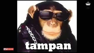 Dj Monyet Kering Aku Tamvan Spesial 2020