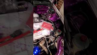 Dicktator Wiring Starts