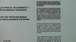 Tratamiento Hidrotérmico para mangos, Experiencia Peruana