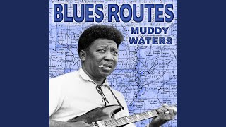 Double Trouble Lyrics - Muddy Waters - Only on JioSaavn