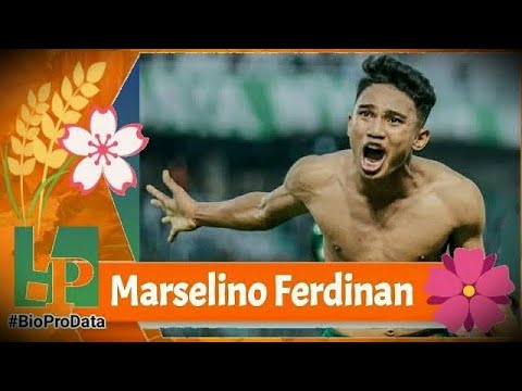 HALUBET76 x 188bon - Profil Marselino Ferdinan | Pemain Sepakbola Timnas Indonesia