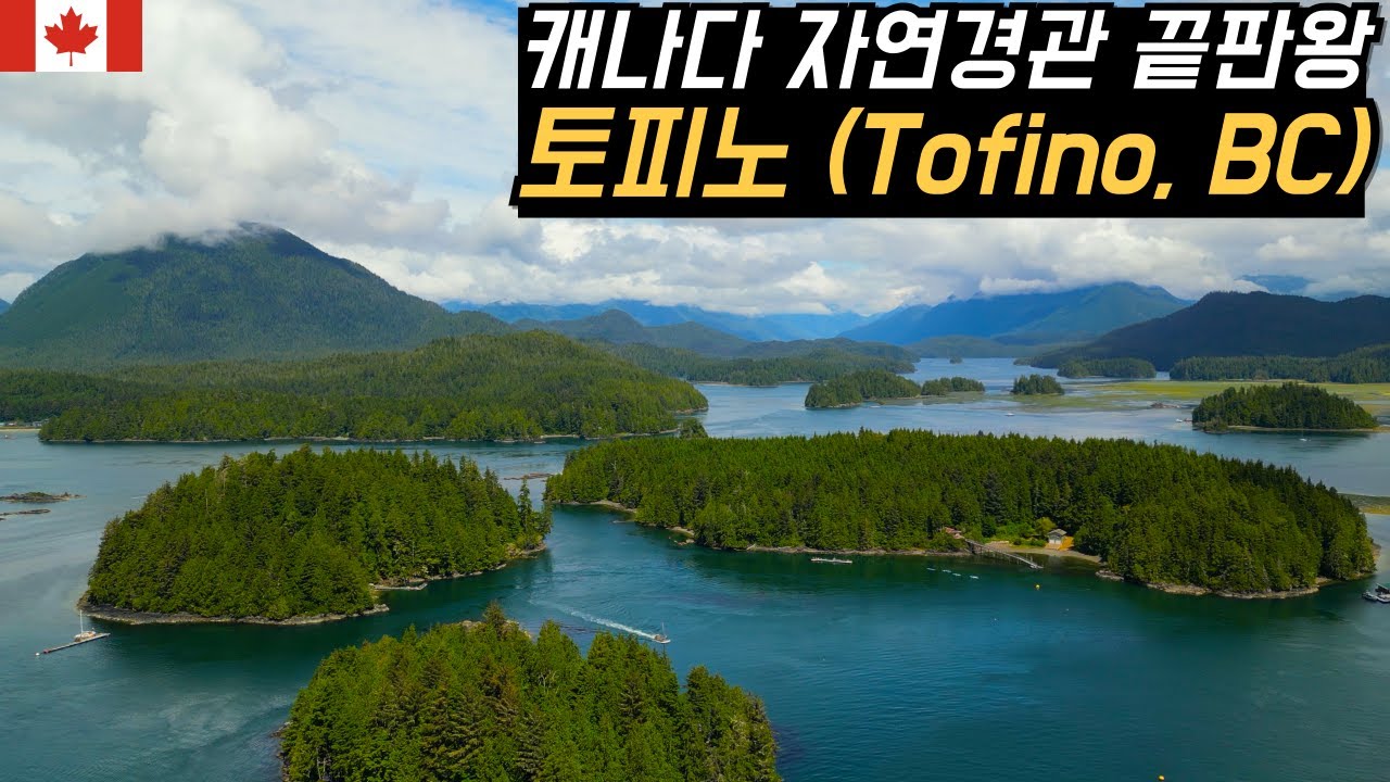 캐나다 밴쿠버 섬에 있는 한국 국립공원과 자매결연 맺은 국립공원이 있는 토피노 둘러보기 | 밴쿠버 섬, Tofino #먹방 #차박 BC, Canada Ep 7