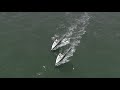 La solitaire Urgo Le Figaro 2018  1/4