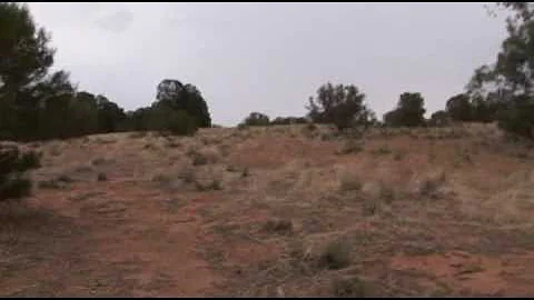 As the crow walks - Gary Pollock