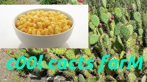 building a cool cactus farm in minetest