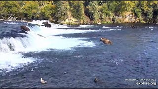 21 Sep 2019: 97 Slips Off the Lip