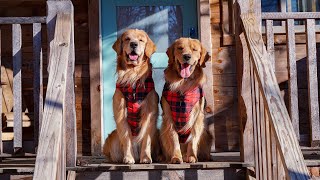 We Rented a Log Cabin!