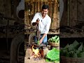 केले के पत्तों से गिलास बनाने की देसी मशीन 🌿 #shorts