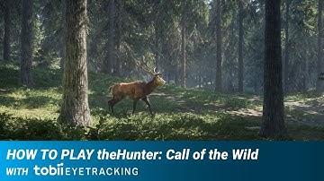 How to Play theHunter Call of the Wild with Tobii Eye Tracking