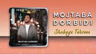 Mojtaba Dorbidi - Shabaye Tehron | OFFICIAL TRACK مجتبی دربیدی - شبای تهرون