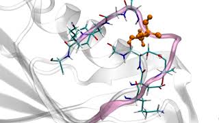 In silico mutation: Molecular dynamics simulation of PfHGXPRTase W181T mutant