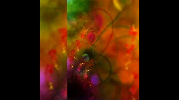 "Conquest" Digital Abstract Painting #Nasturtium #flowers #orange #red #shorts #shortvideo #drawing