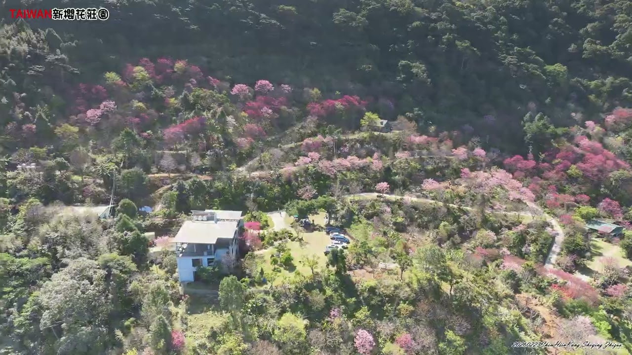 新櫻花莊園（二）