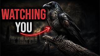 Why Do Ravens Appear in Every Civilization's Darkest Myths?