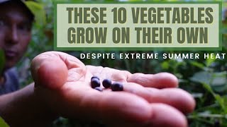 10 Vegetables that Grow on their Own Despite Extreme Heat