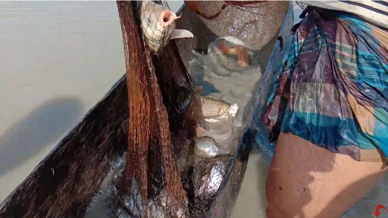 Most Satisfying Cast Net Fishing Video - Traditional Net Catch Fishing in Village Pond