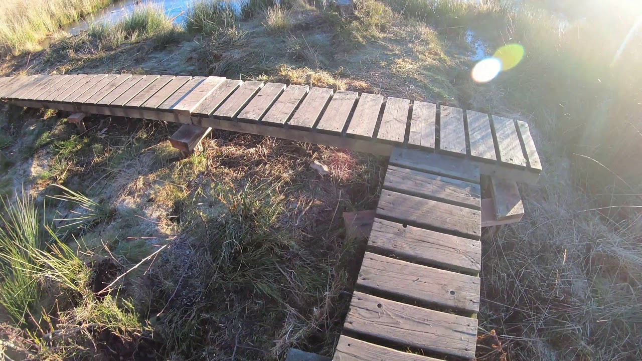 Promenade dans la partie sauvage du Brackvenn - Part 3 - 4K