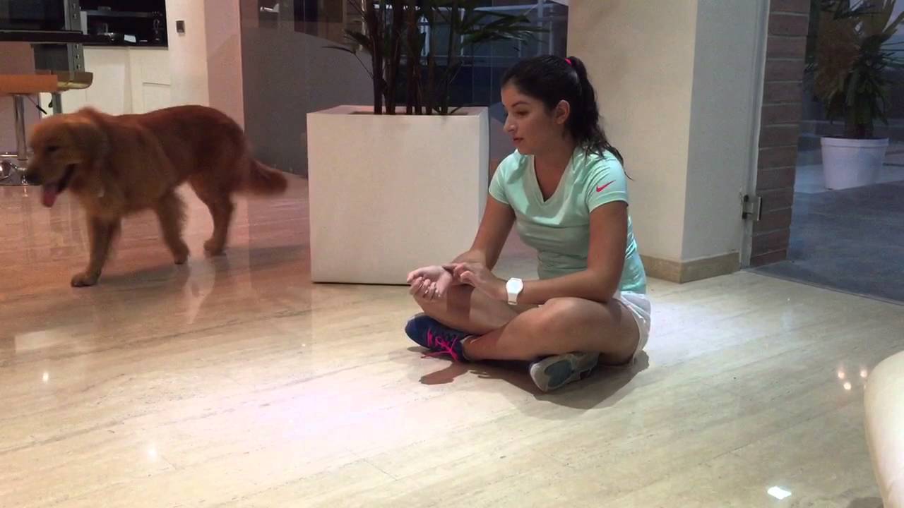 Prueba de flexión y extensión de codos. Universidad Yacambú - YouTube